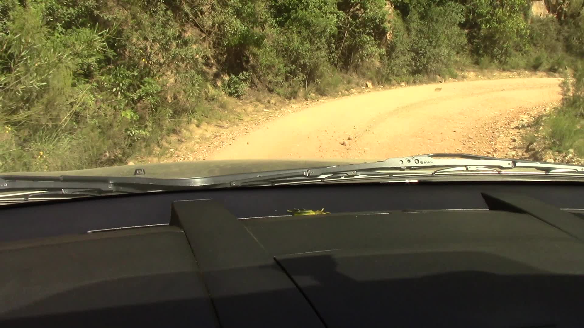 Prince Alfred Pass - 247